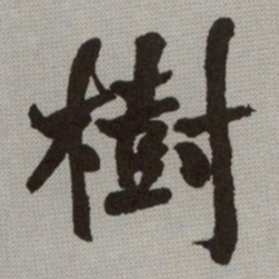 何绍基樹书法图片