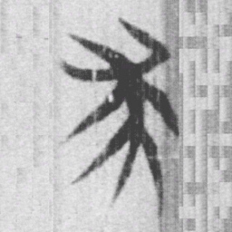 上博简求书法图片