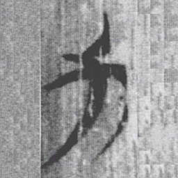 上博简力书法图片