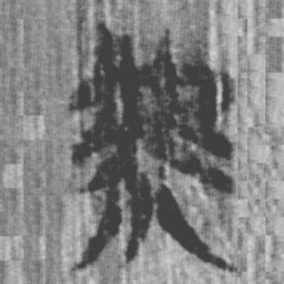 上博简虖书法图片