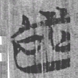 上博简国书法图片