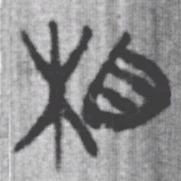 上博简相书法图片