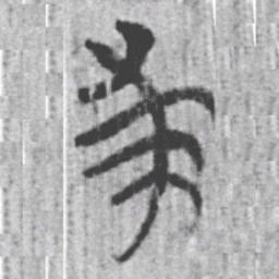 上博简求书法图片