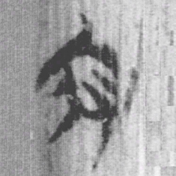 上博简府书法图片