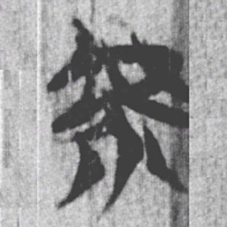 上博简虖书法图片