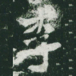 魏碑李书法图片