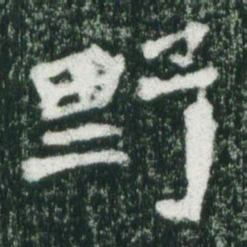 魏碑野书法图片