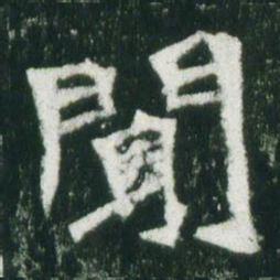 魏碑闻书法图片