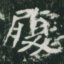 魏碑履书法图片