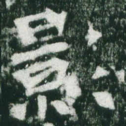 魏碑影书法图片