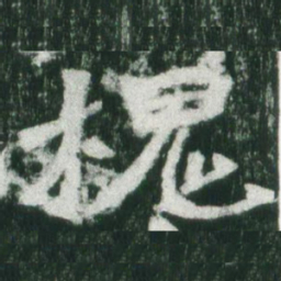 魏碑槐书法图片