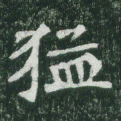 魏碑猛书法图片