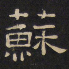 苏书法图片