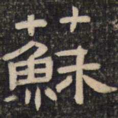 苏书法图片
