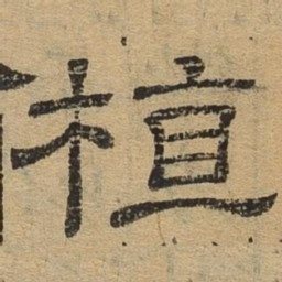 植书法图片