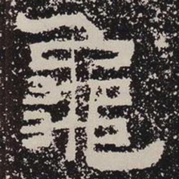 龟书法图片