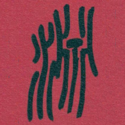 吴昌硕淵书法图片
