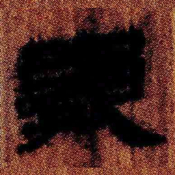 北大汉简龟书法图片