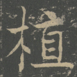 薛稷植书法图片