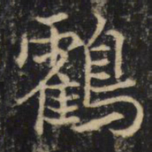 吴通微鹤书法图片