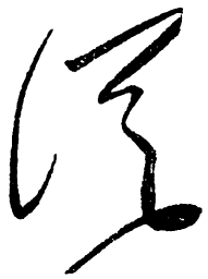 毛泽东从书法图片