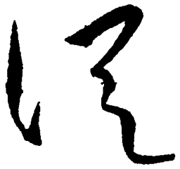 毛泽东从书法图片