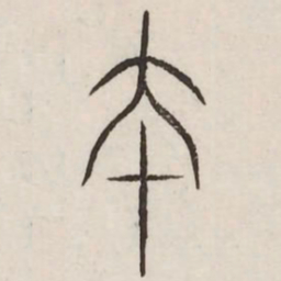 本书法图片