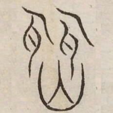 闻书法图片