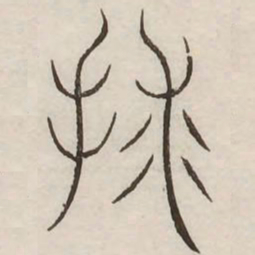 救书法图片