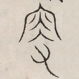 更书法图片