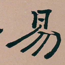 张锦芳易书法图片
