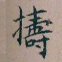杨文炳擣书法图片