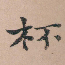 袁枚杯书法图片