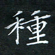隋俊波种书法图片