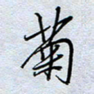 钱保山菊书法图片