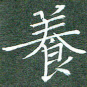 周浩忠养书法图片