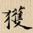 张谋含获书法图片