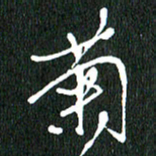 黄兴吉菊书法图片