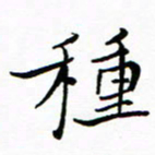 石云端种书法图片