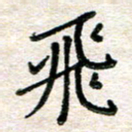 张丽娜飞书法图片