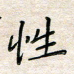 张丽娜性书法图片