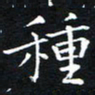 田智勇种书法图片