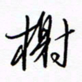 汪寅生榭书法图片