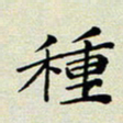 孙俊霞种书法图片