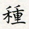 蒋朝明种书法图片