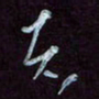 王英志者书法图片