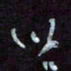王英志以书法图片