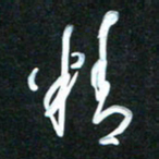 花爱军精书法图片
