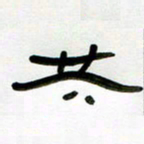 张林华共书法图片
