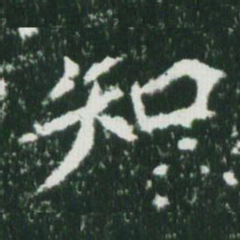 魏碑知书法图片